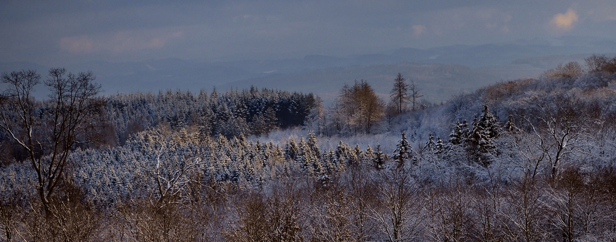 Winterlandschaft