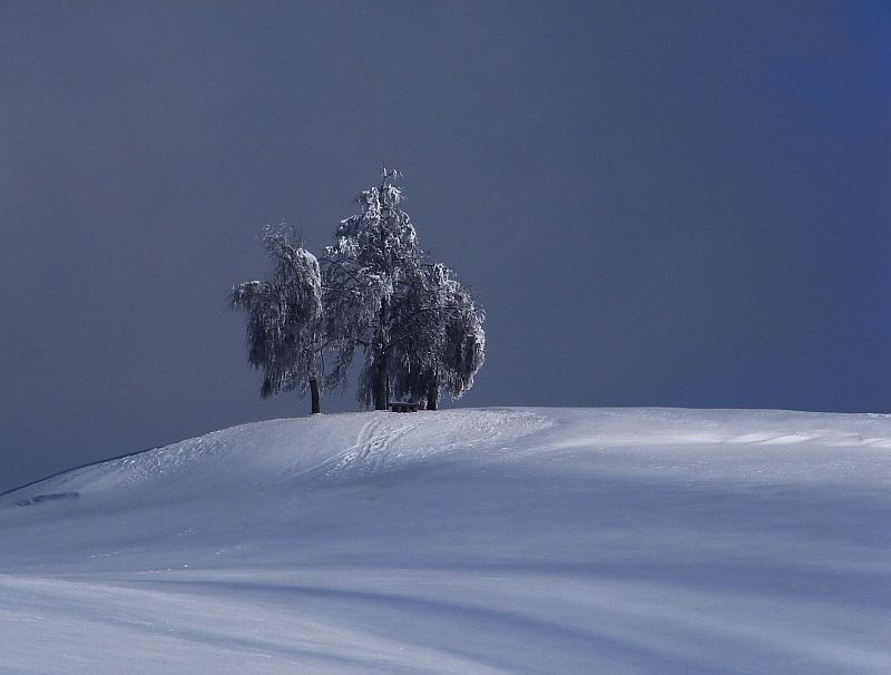 - Winterlandschaft -