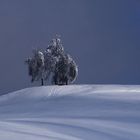 - Winterlandschaft -