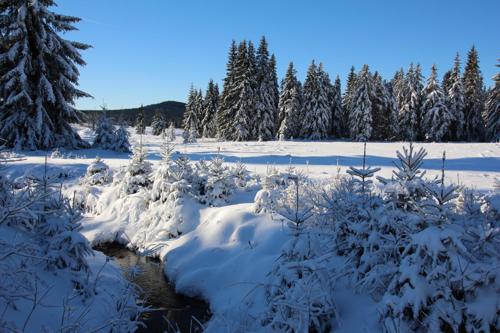 Winterlandschaft