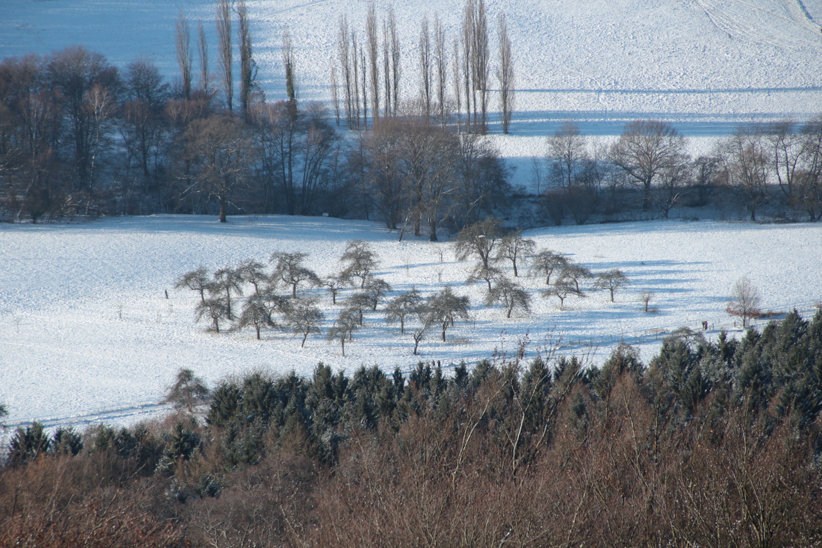 Winterlandschaft