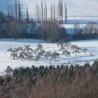 Winterlandschaft