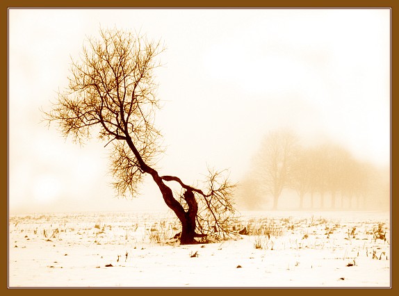 Winterlandschaft