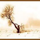 Winterlandschaft