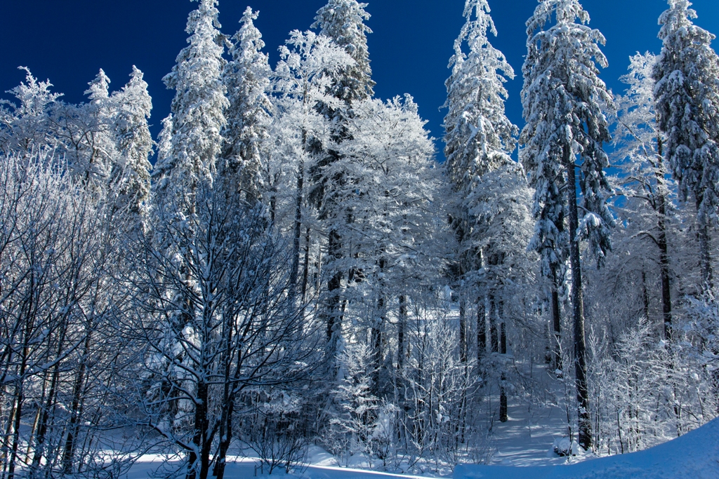 ¨Winterlandschaft Feldberg