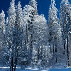 ¨Winterlandschaft Feldberg