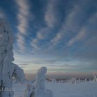 Winterlandschaft, Finnland 2014