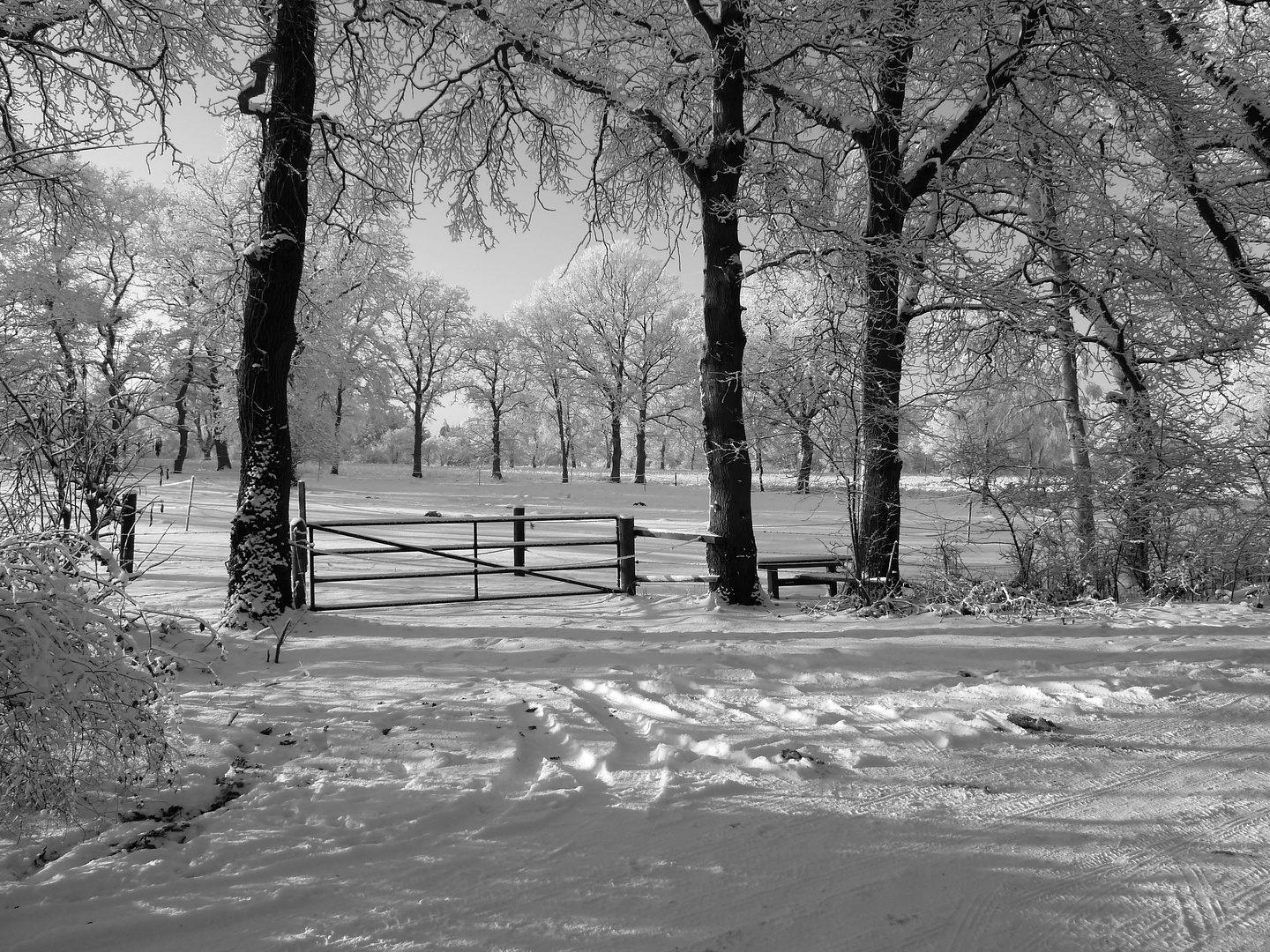 Winterlandschaft Friedheim Schiffdorf