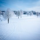 Winterlandschaft Gäuboden