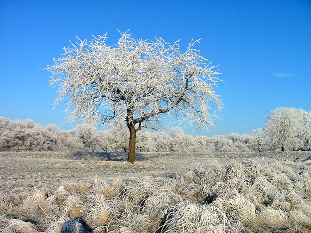 Winterlandschaft, ganz ohne Schnee