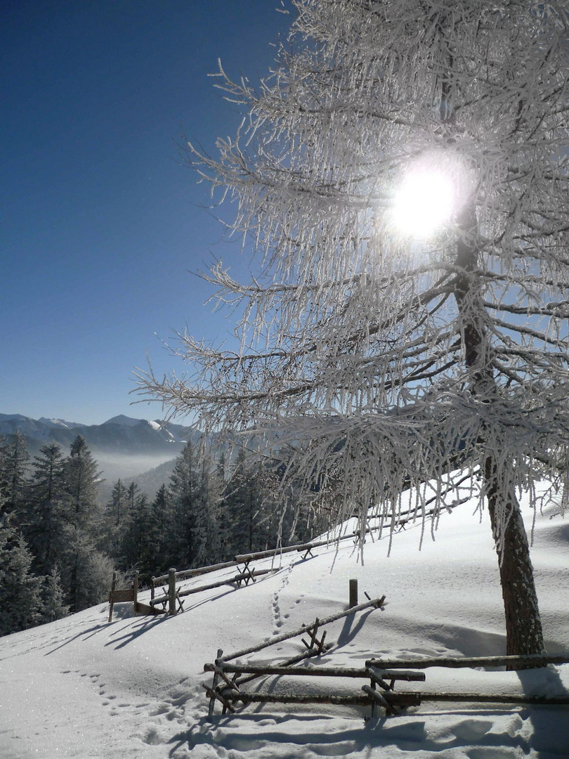 Winterlandschaft Gindelalm