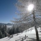 Winterlandschaft Gindelalm