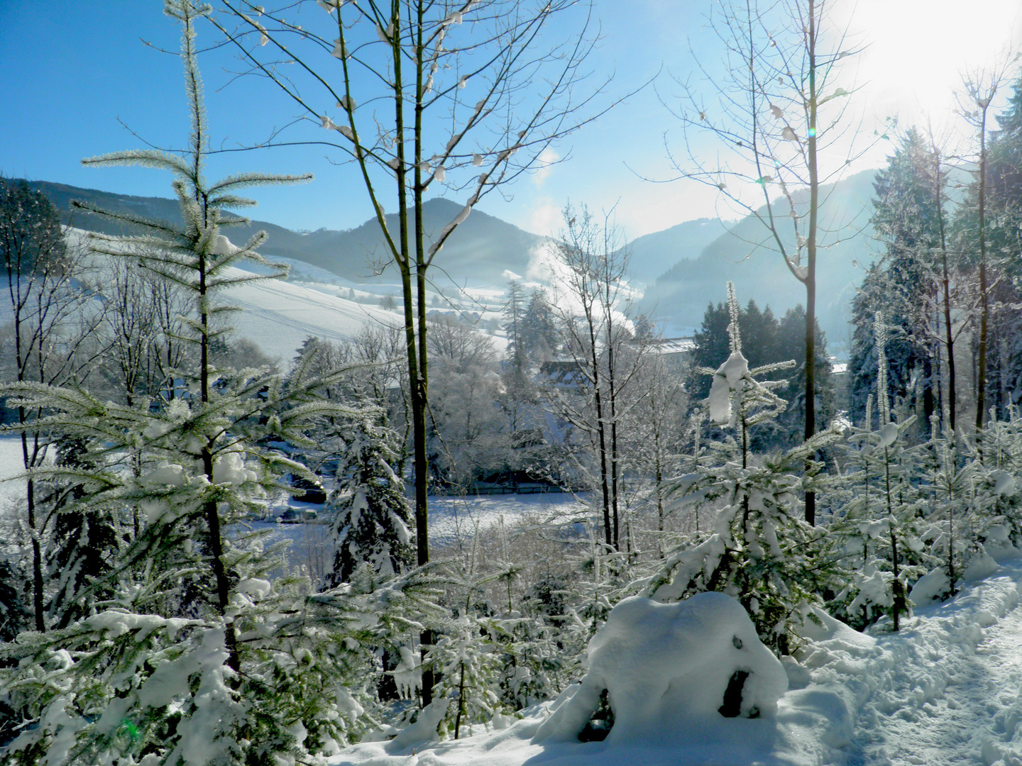 Winterlandschaft Glottertal