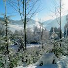 Winterlandschaft Glottertal