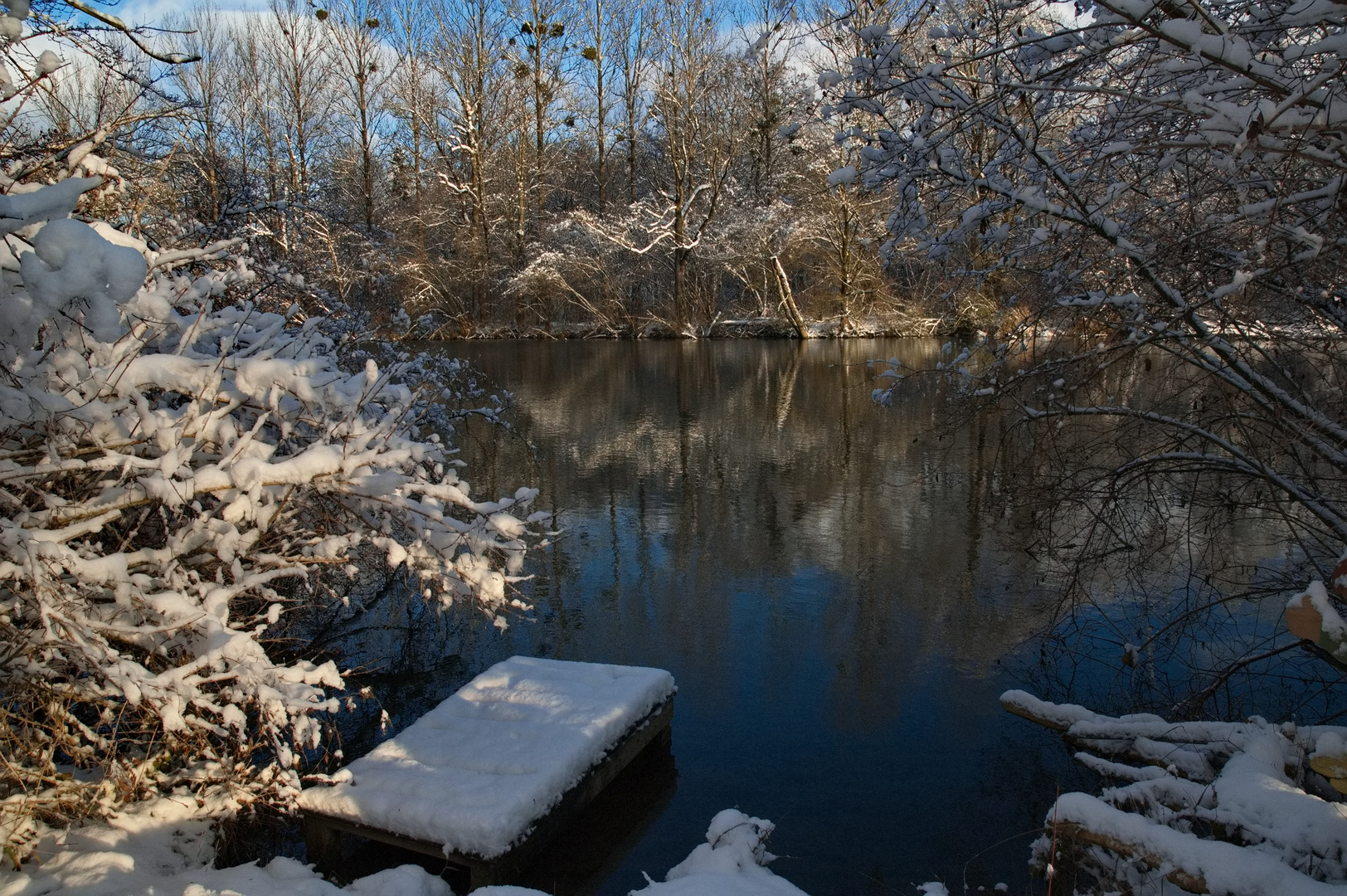 Winterlandschaft Gollinger Au Nö