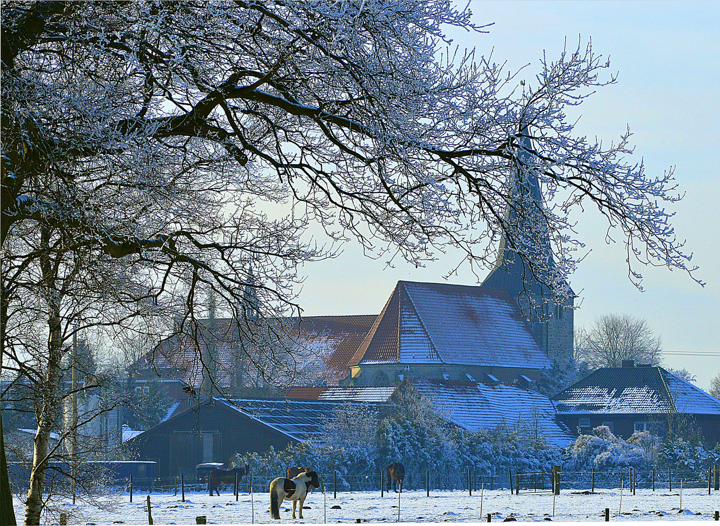 Winterlandschaft Groß Hesepe 