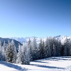 WInterlandschaft-Großarl