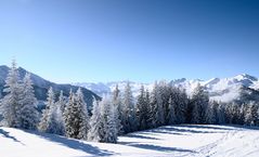 WInterlandschaft-Großarl