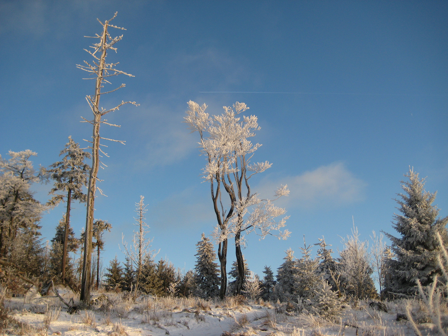 ### Winterlandschaft Großer Inselsberg ###