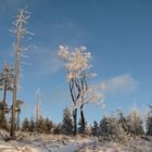 ### Winterlandschaft Großer Inselsberg ###