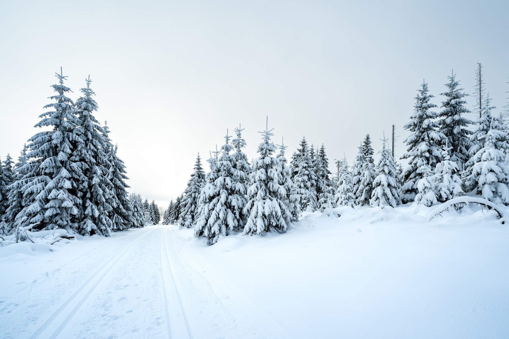 winterlandschaft - harz