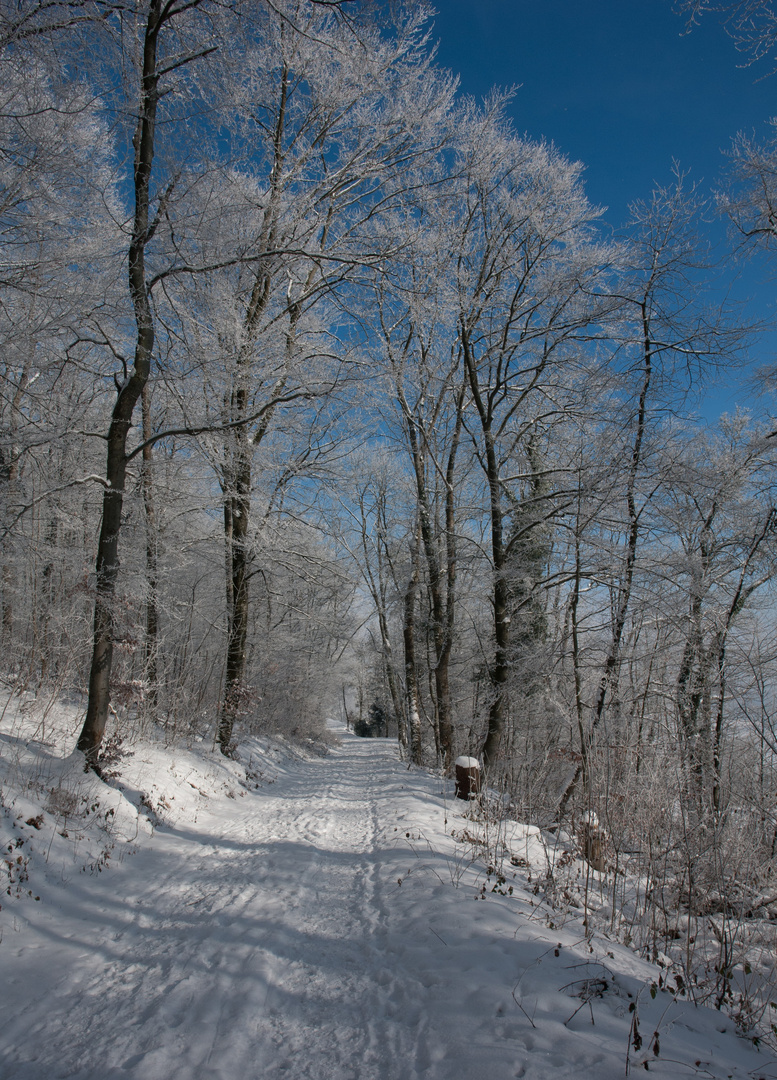 Winterlandschaft Hauenstein-Ifenthal