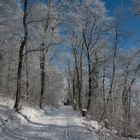 Winterlandschaft Hauenstein-Ifenthal