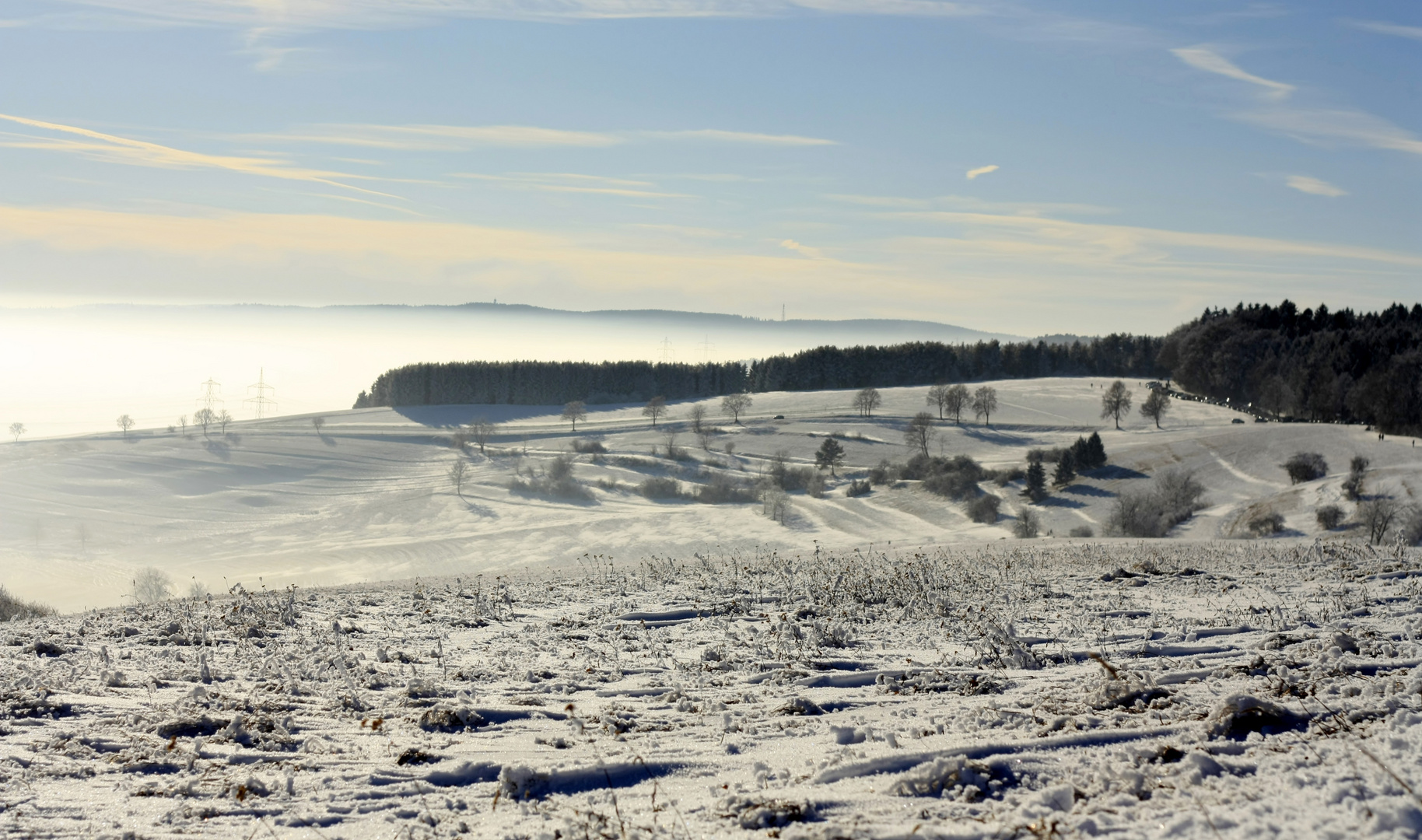 Winterlandschaft Hegau