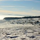 Winterlandschaft Hegau