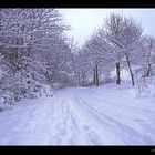 Winterlandschaft Hemmingen