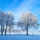 Winterlandschaft Herrliche 