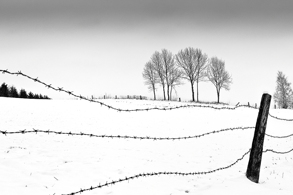 Winterlandschaft hinter Stacheldraht von André Stuhm-Spieker