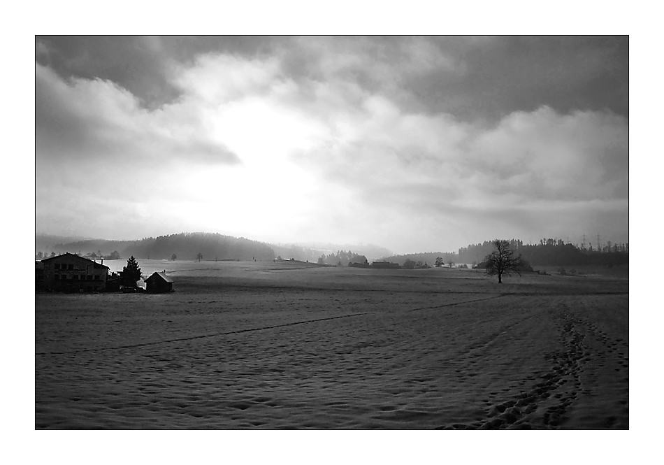 Winterlandschaft - Hittnau ZH