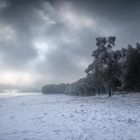 Winterlandschaft Hunsrück