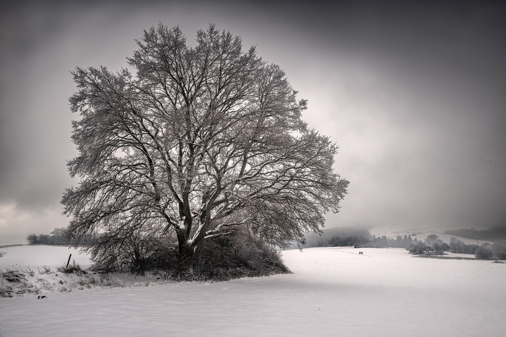 Winterlandschaft Hunsrück II