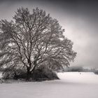 Winterlandschaft Hunsrück II