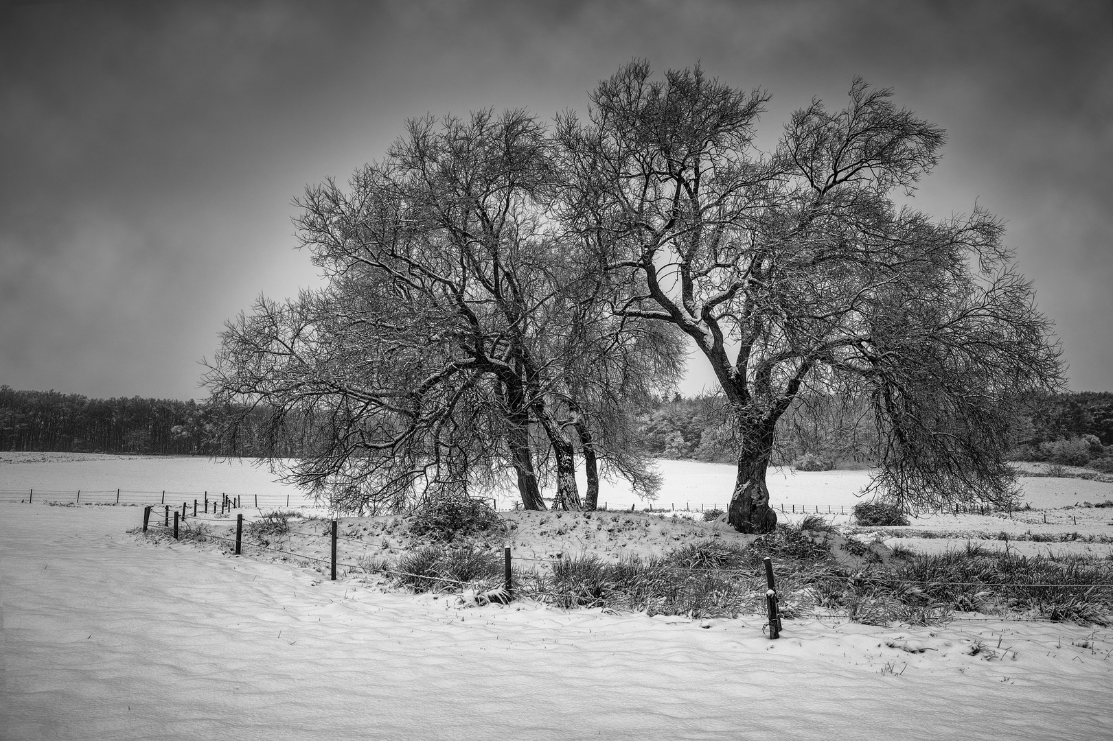 Winterlandschaft Hunsrück III