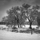 Winterlandschaft Hunsrück III