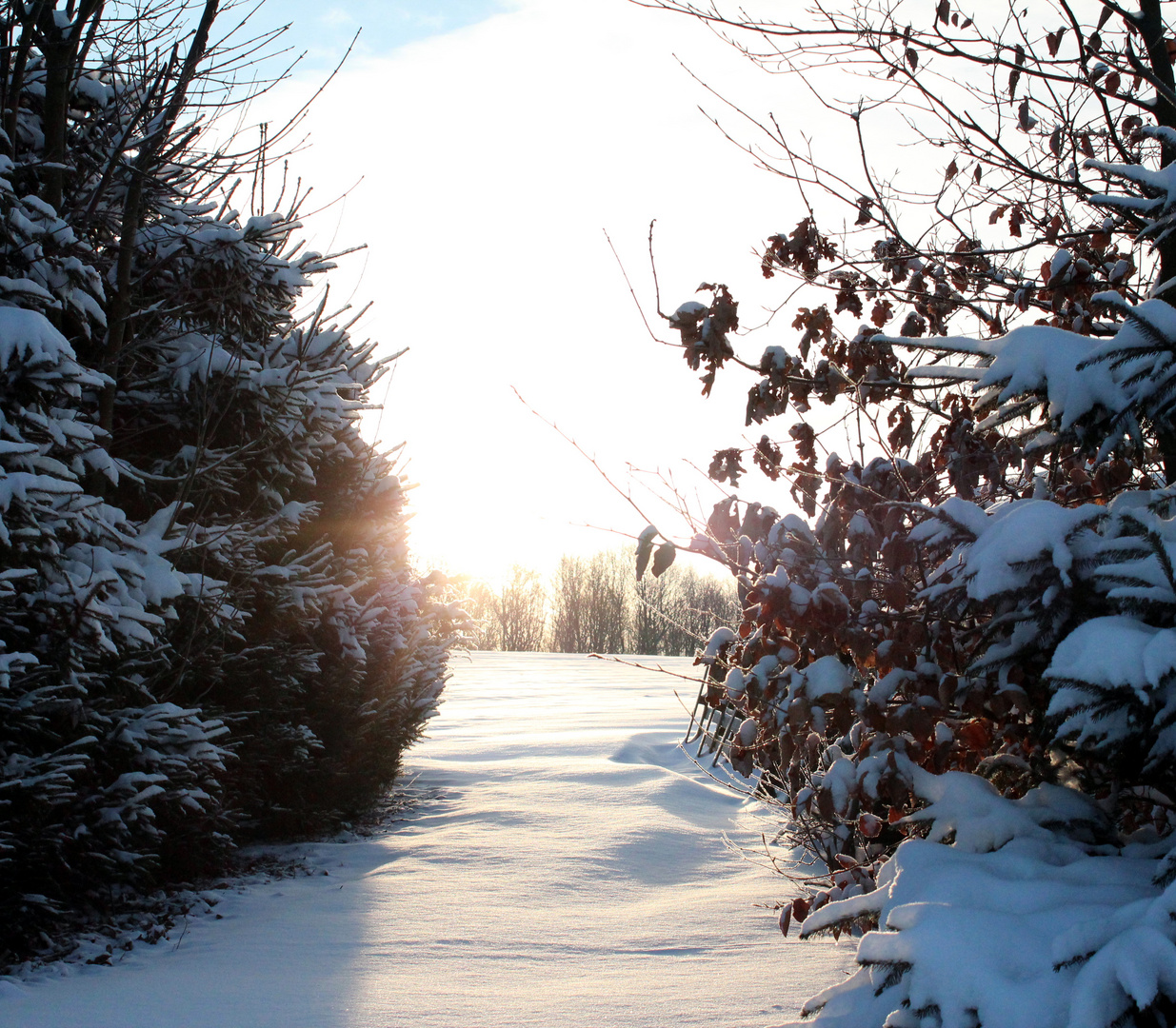 Winterlandschaft I