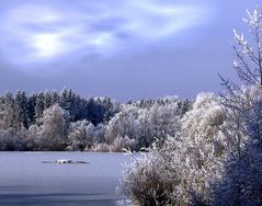 Winterlandschaft I