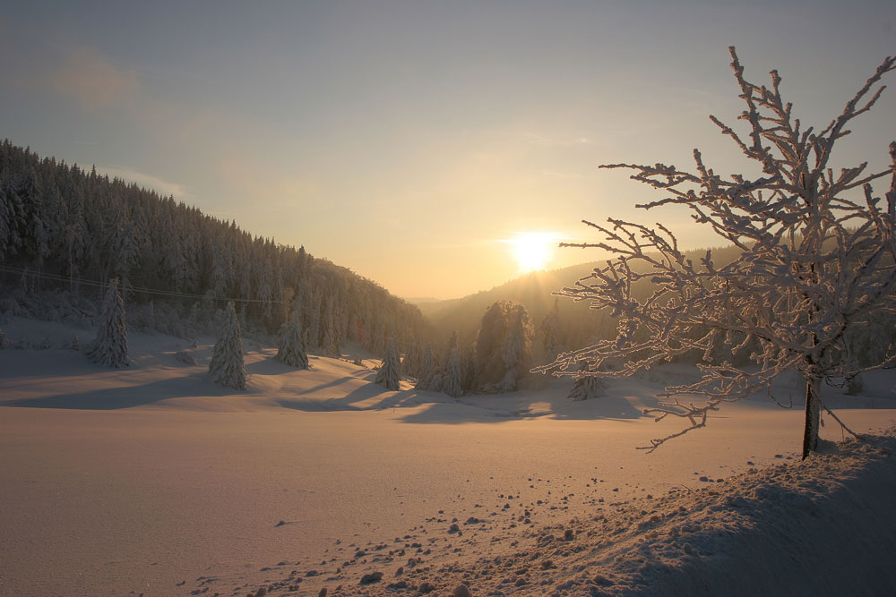 Winterlandschaft I