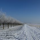 Winterlandschaft I