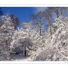 Winterlandschaft I