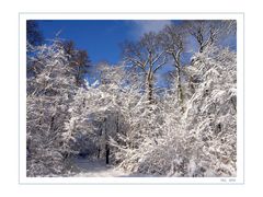 Winterlandschaft I