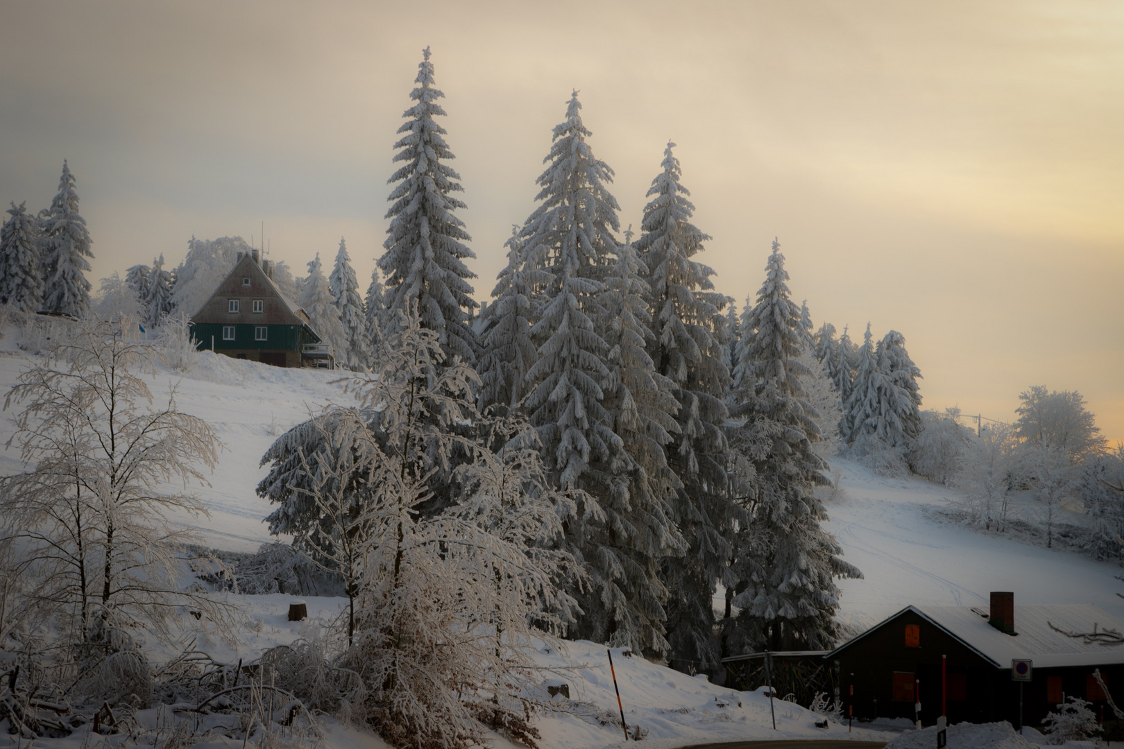 Winterlandschaft I