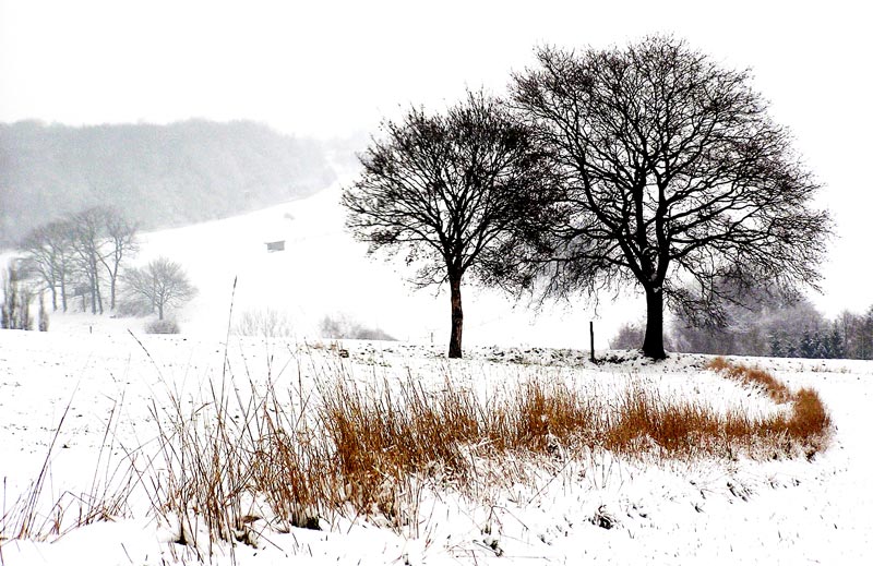 [ winterlandschaft II ]