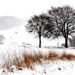 [ winterlandschaft II ]