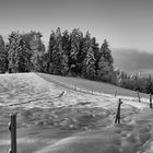 Winterlandschaft II