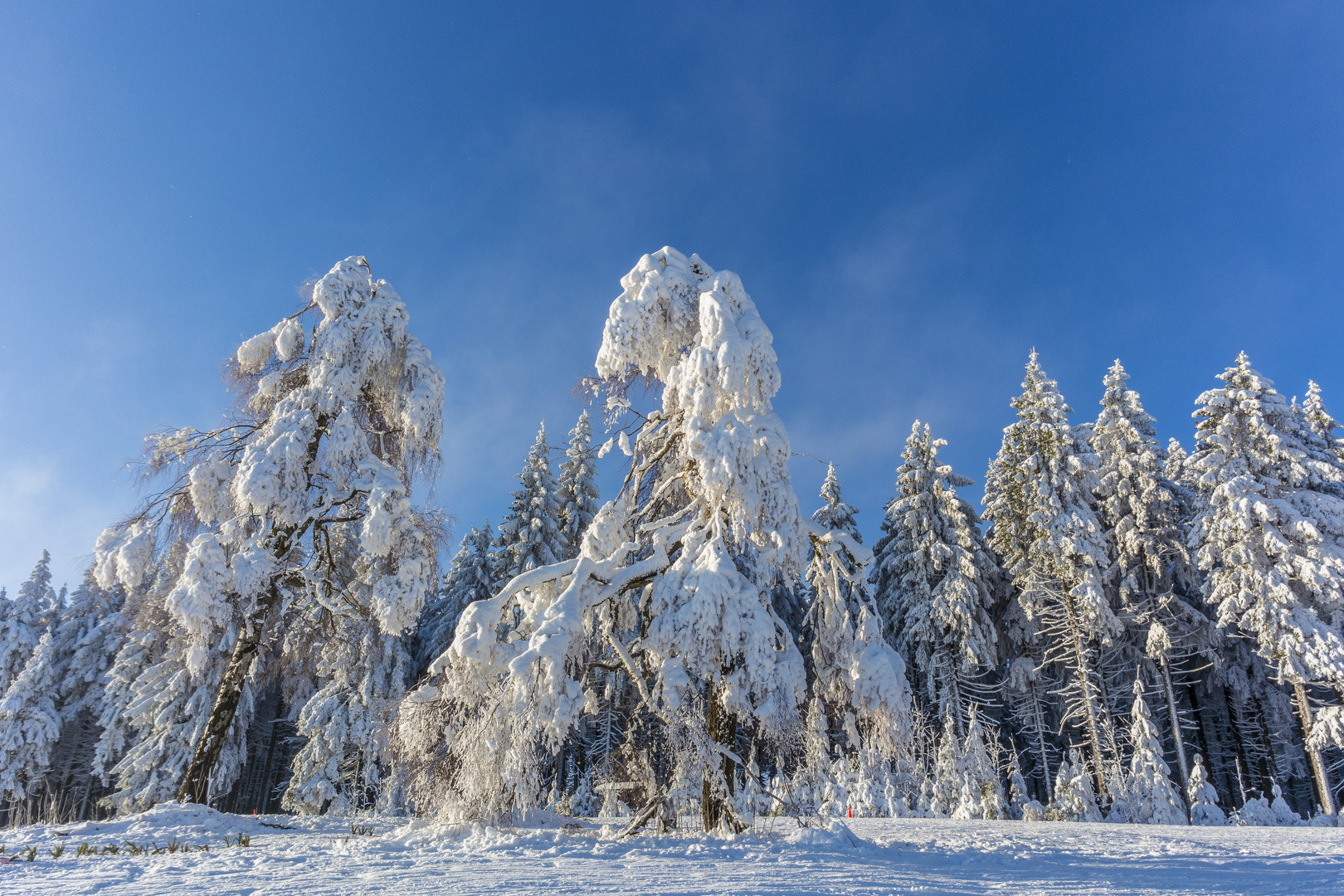 Winterlandschaft II