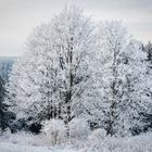 Winterlandschaft II